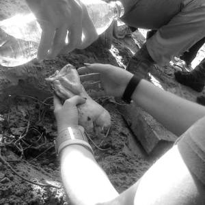 teambuilding-ing-4_original