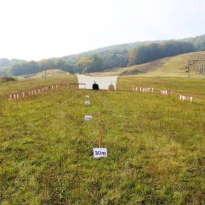 teambuilding-valca6_original